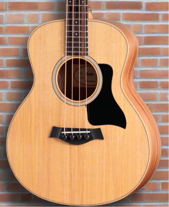 Elevate Your Music Game with Taylor Guitars