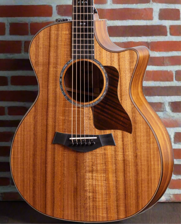 Taylor Guitars