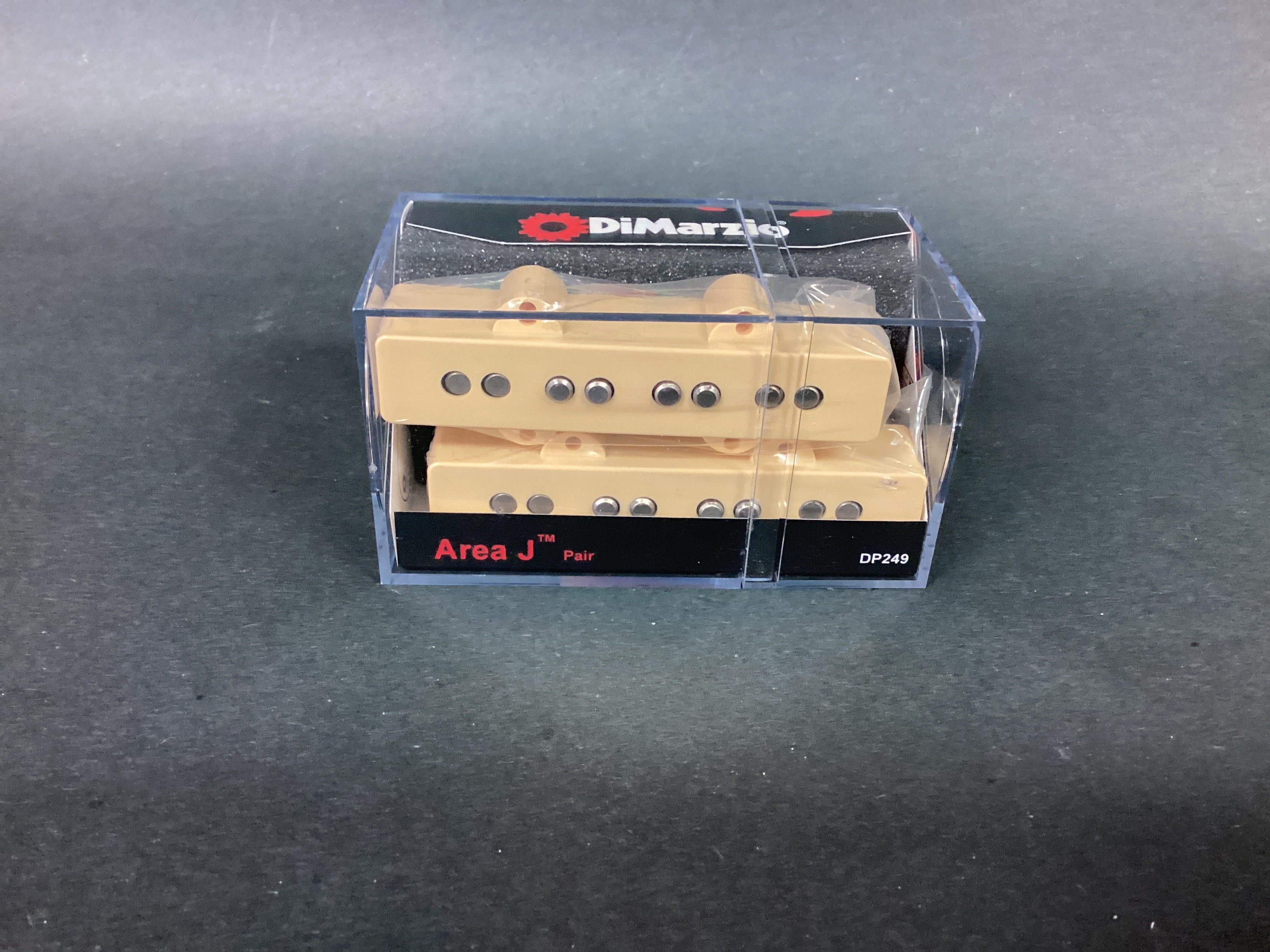 The Pied Piper Music Store