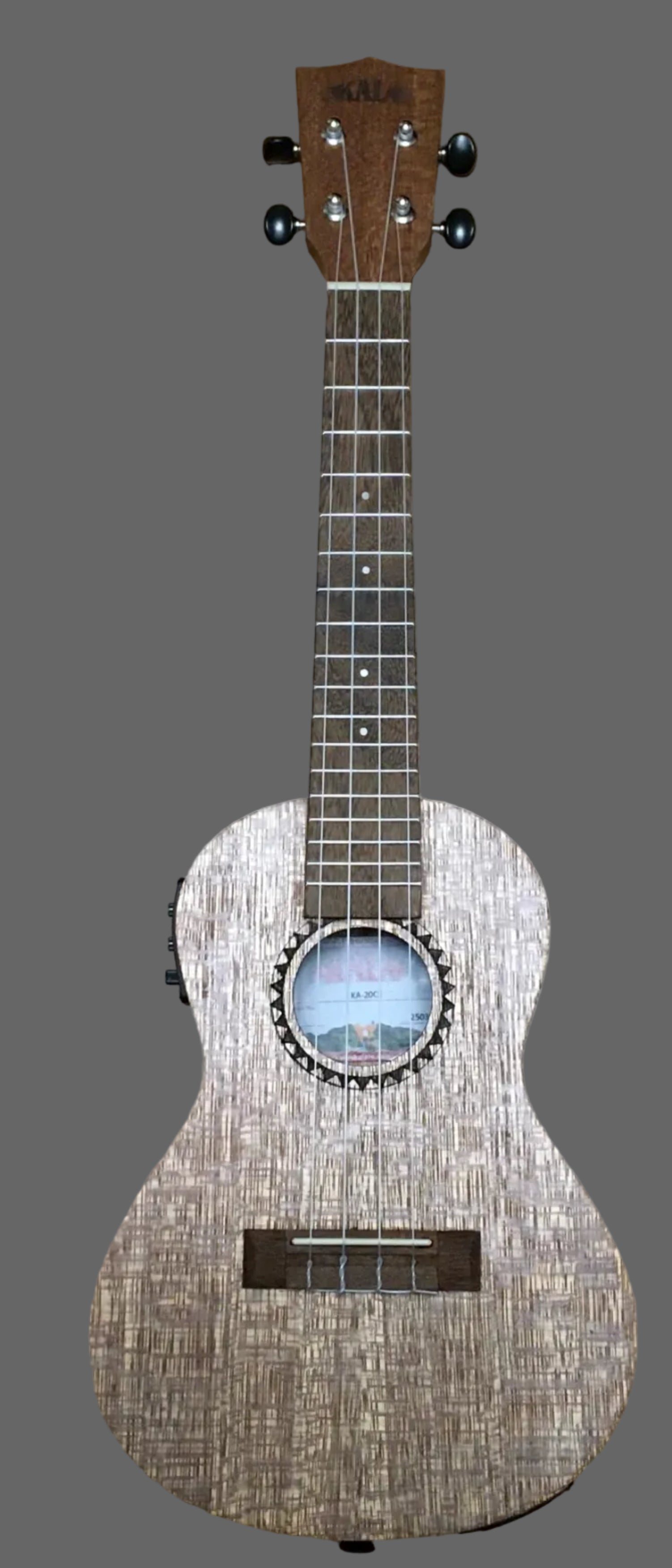The Pied Piper Music Store