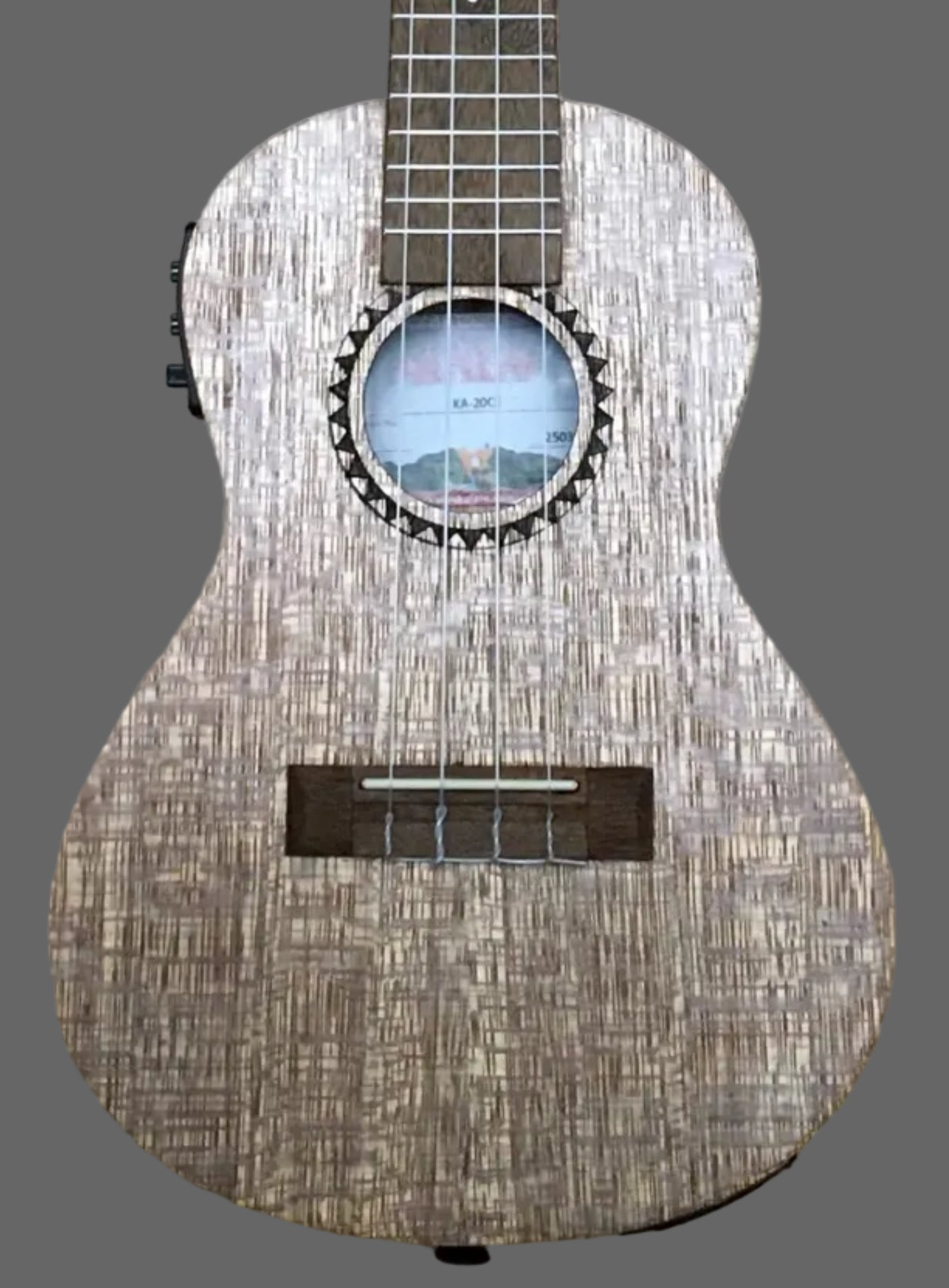 The Pied Piper Music Store