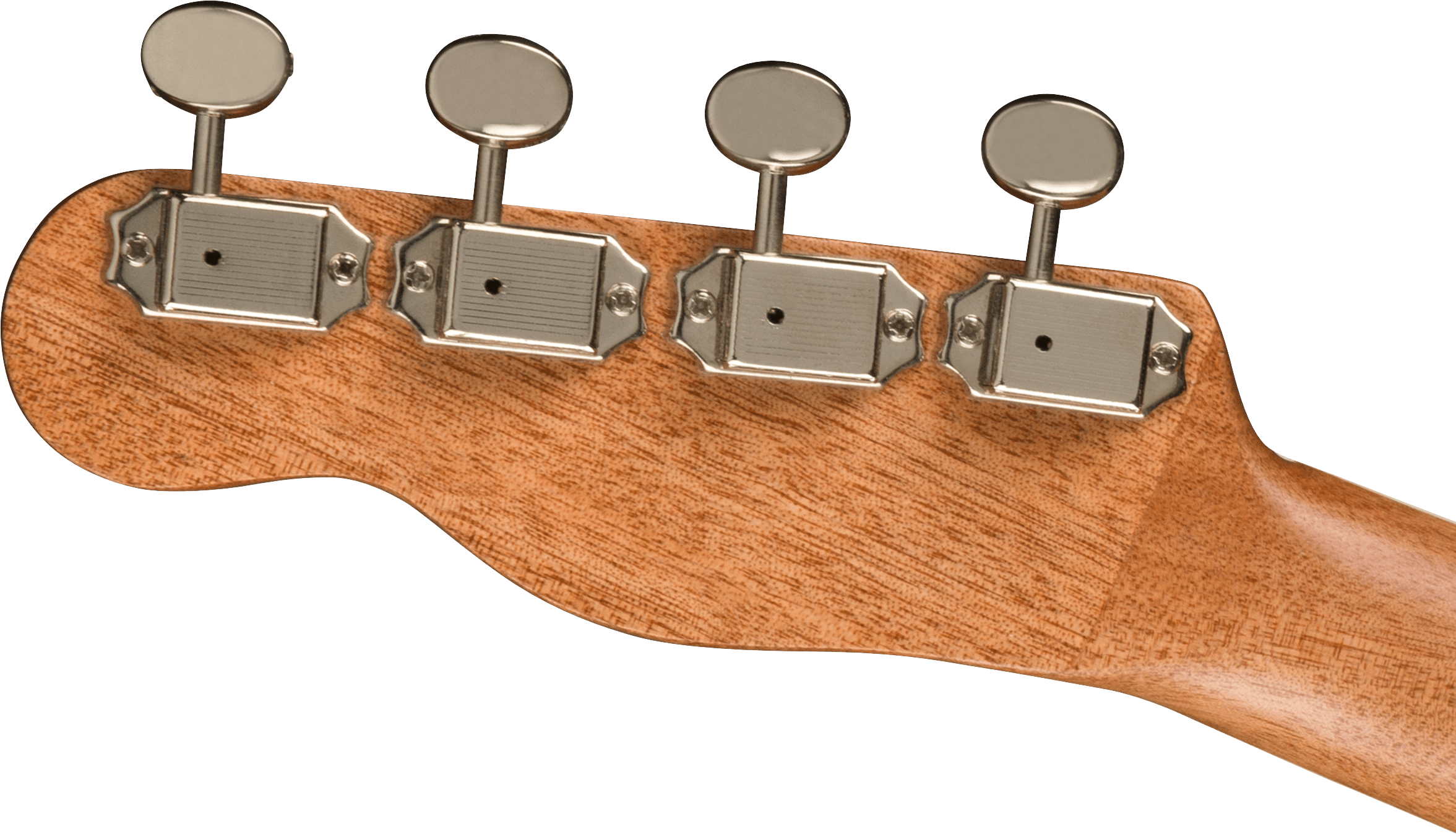 Image of Zuma Exotic Concert Ukulele, Walnut Fingerboard, Bocote