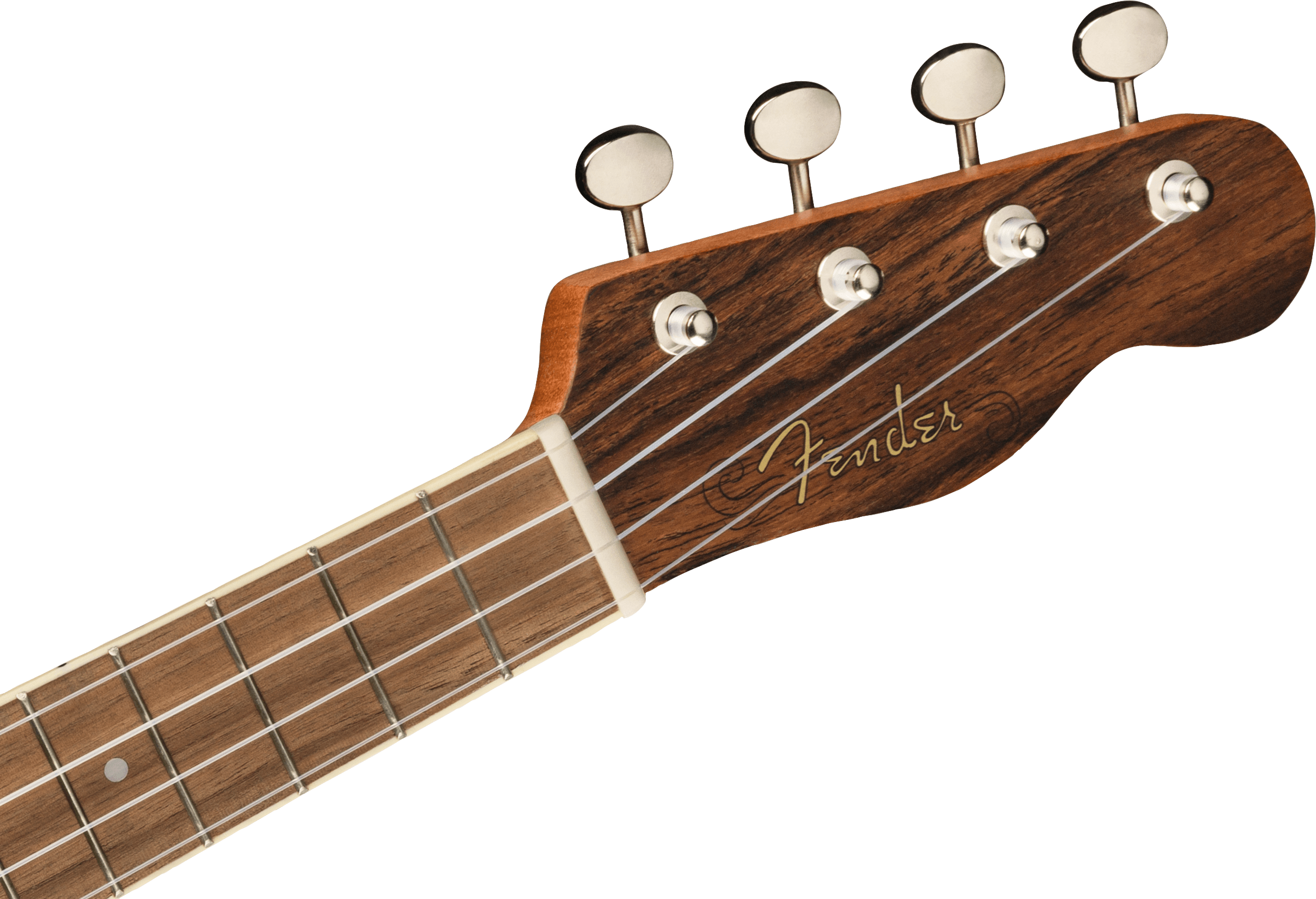 Image of Zuma Exotic Concert Ukulele, Walnut Fingerboard, Bocote