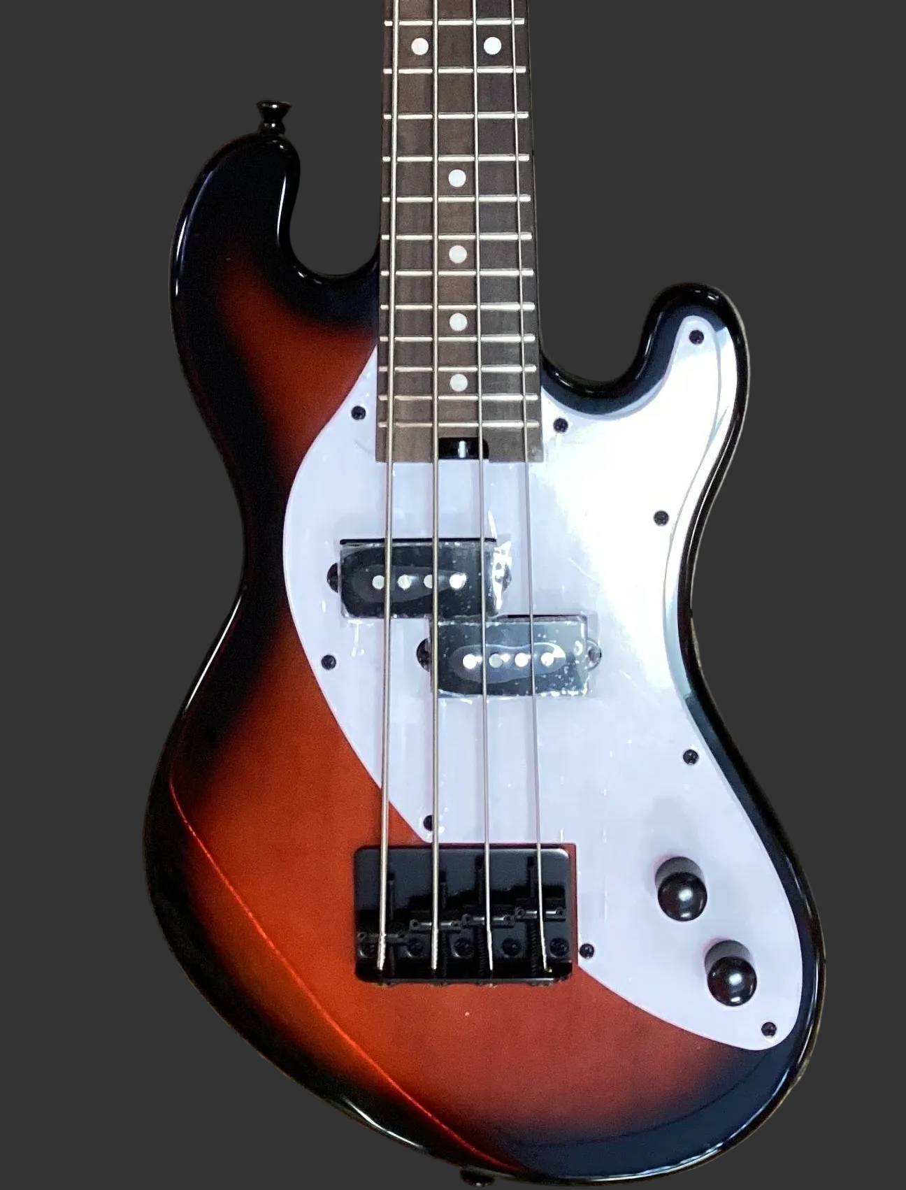 The Pied Piper Music Store