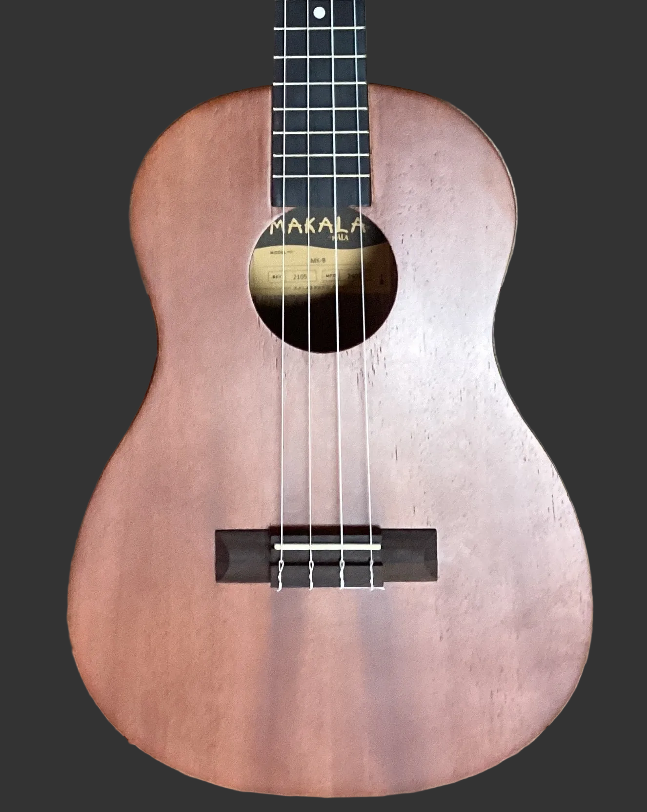 The Pied Piper Music Store