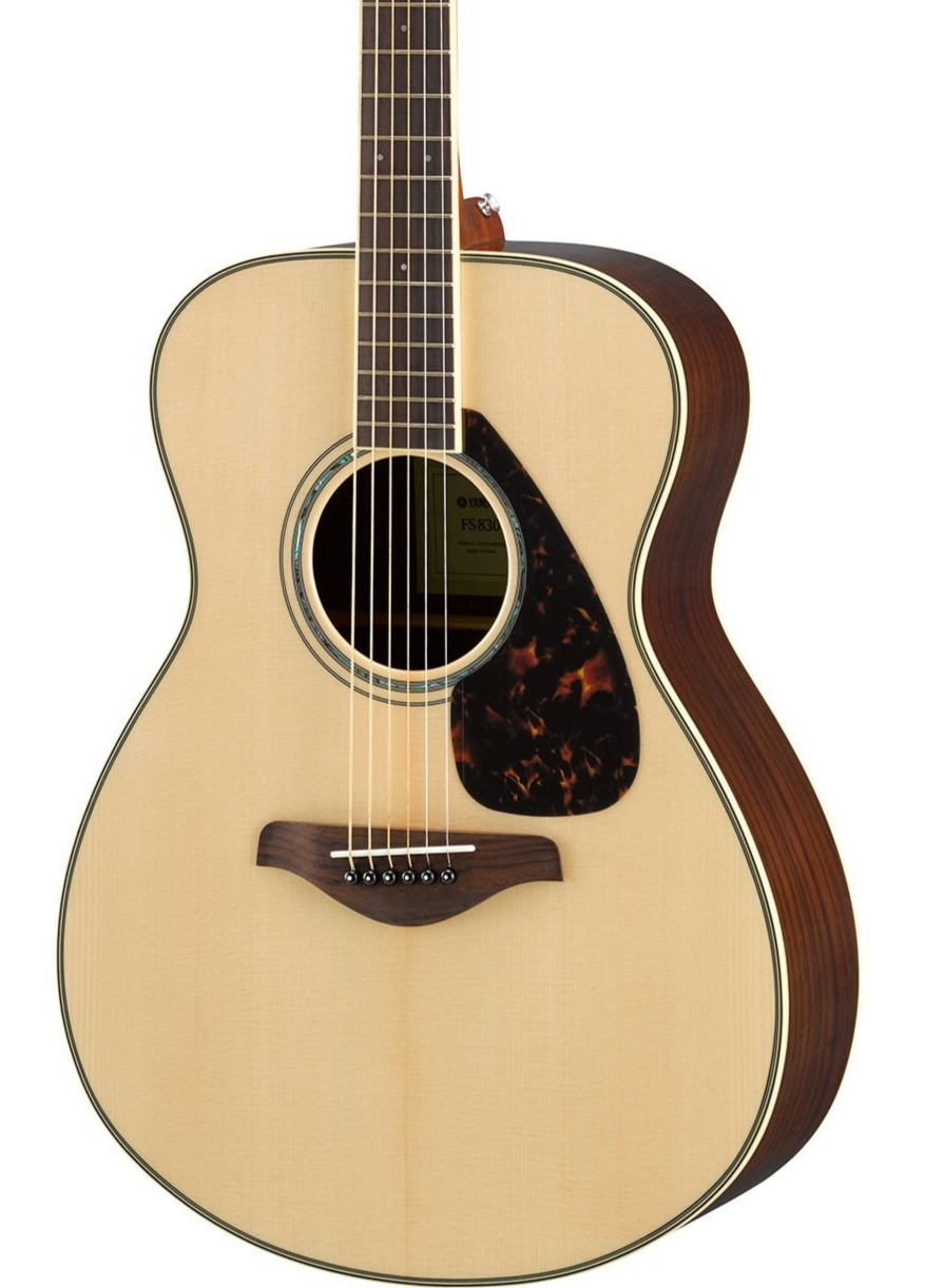 The Pied Piper Music Store