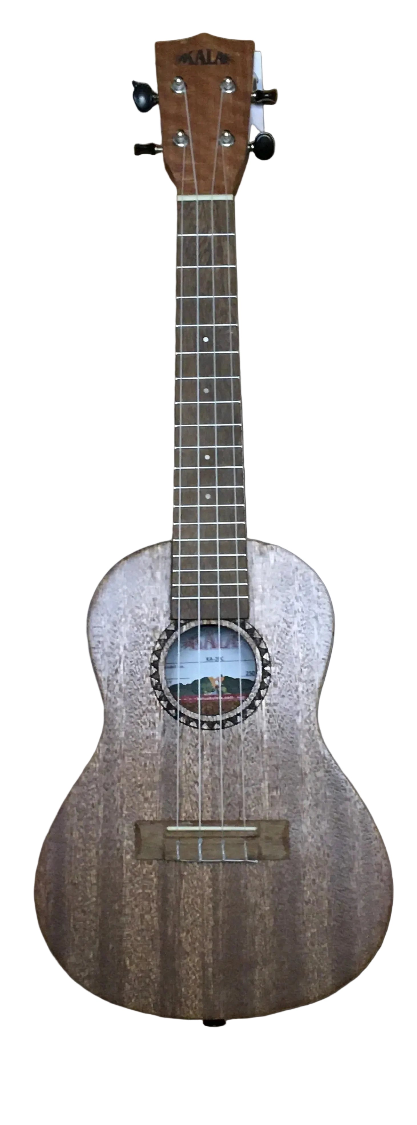 The Pied Piper Music Store