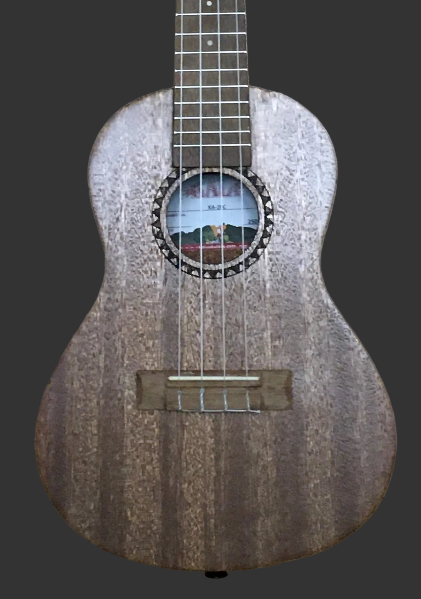 The Pied Piper Music Store