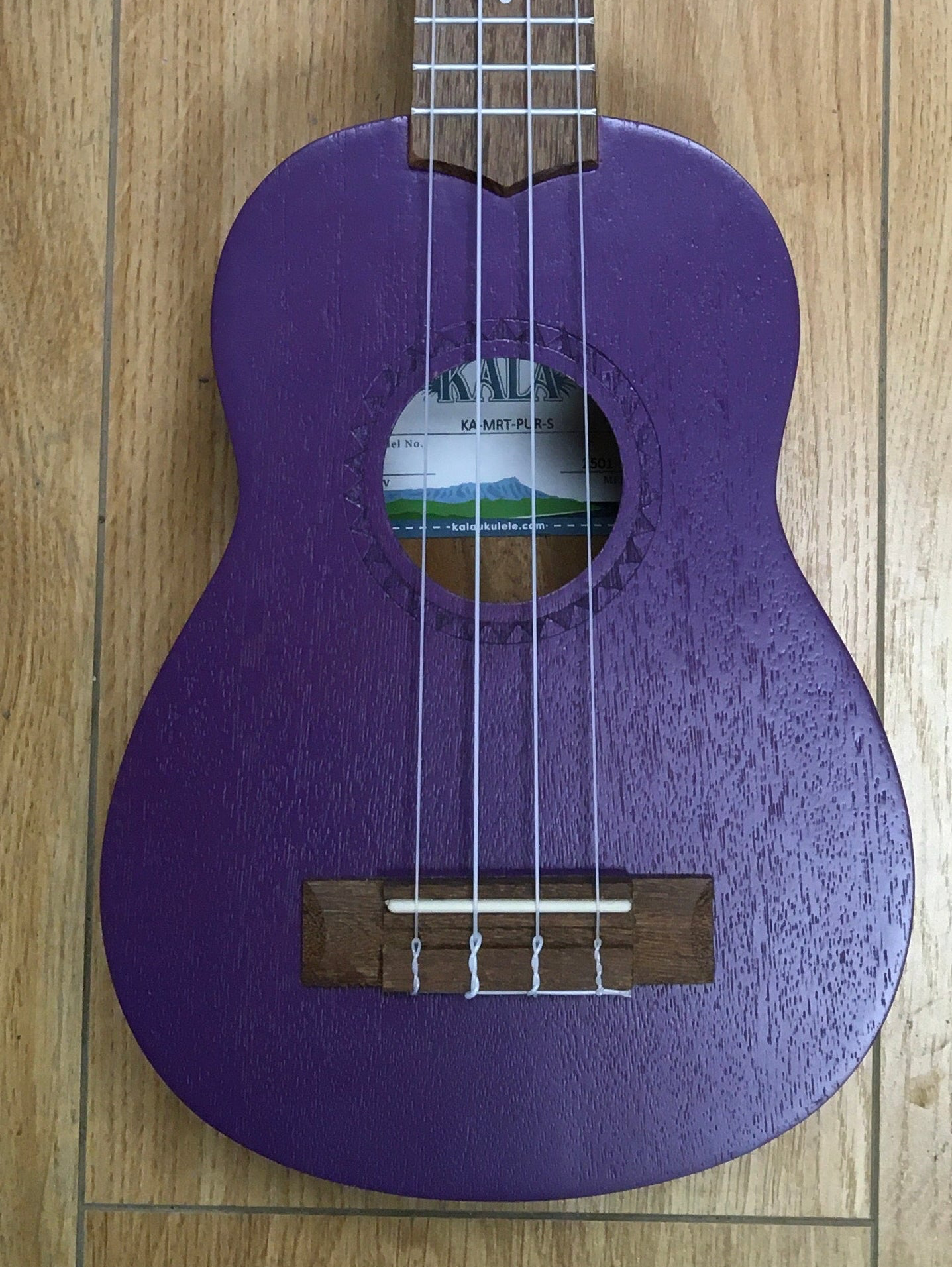 The Pied Piper Music Store