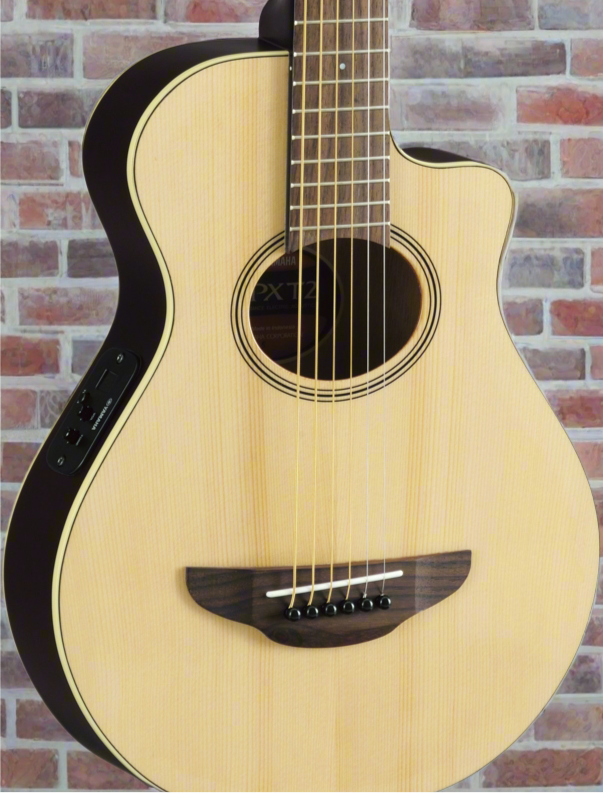 The Pied Piper Music Store