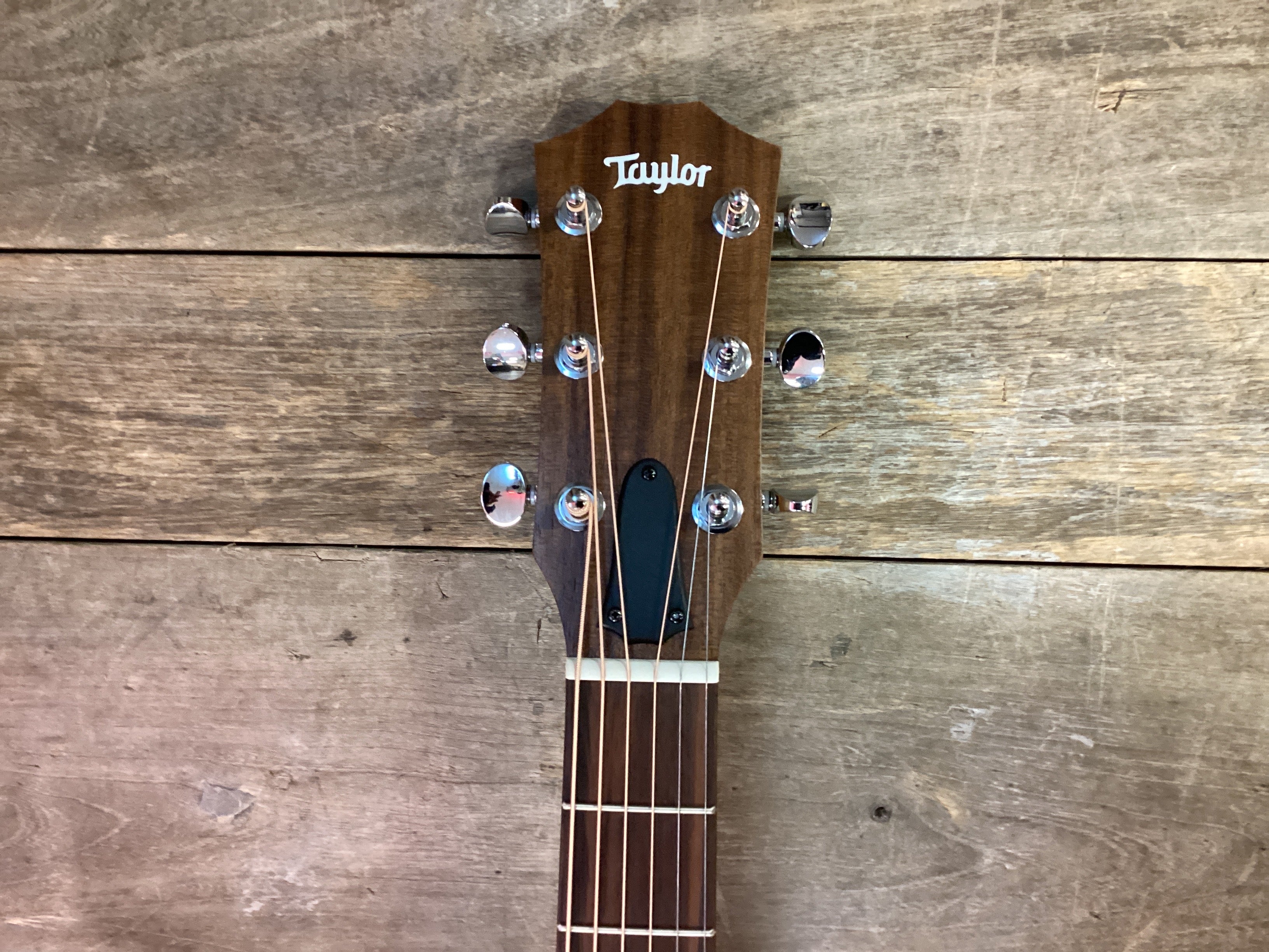 Image of Taylor Big Baby Taylor (BBT)