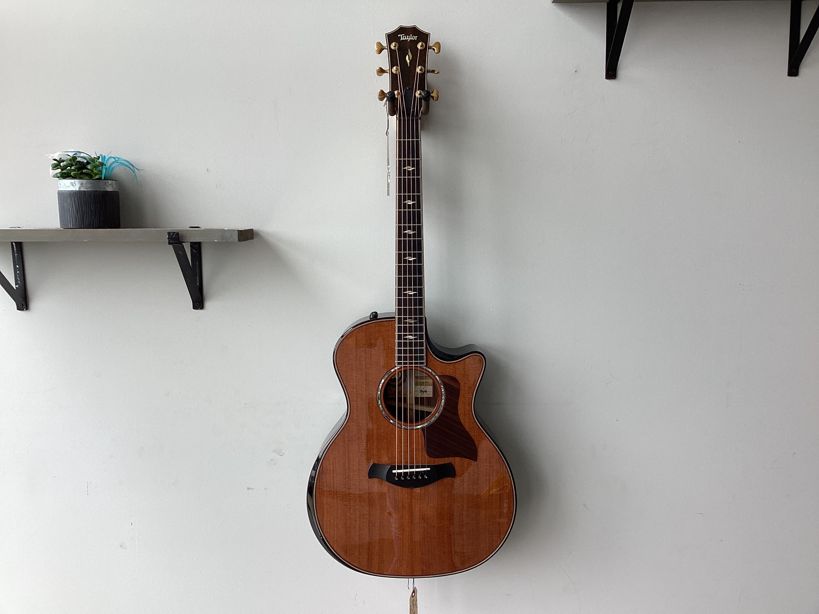Image of Taylor 814ce Builders 50th LTD