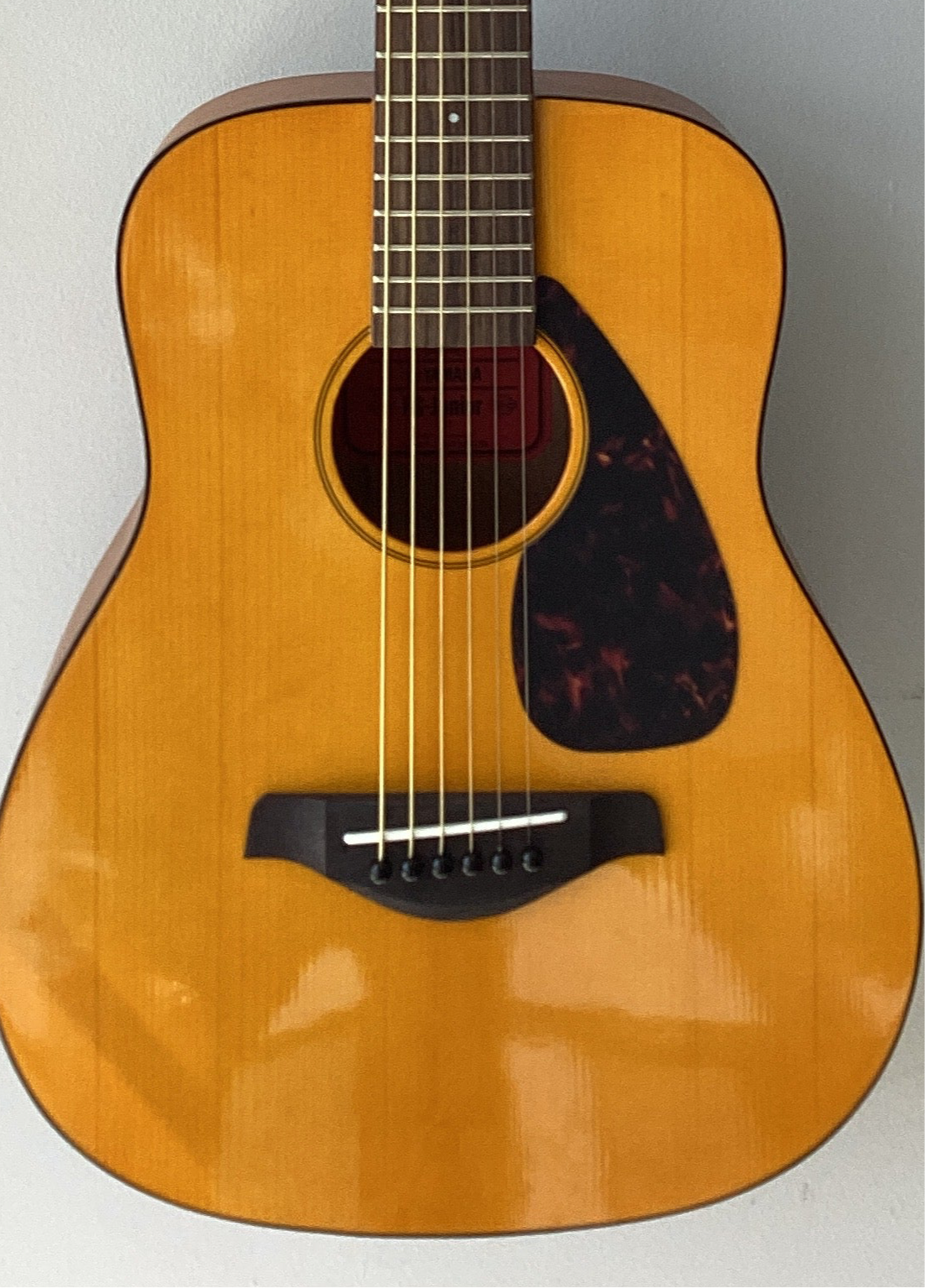 The Pied Piper Music Store