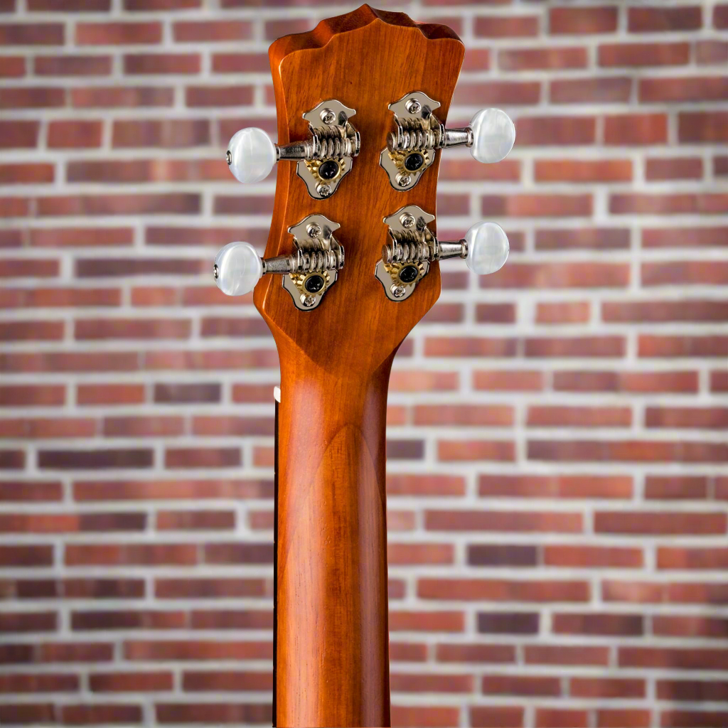 Image of LUNA UKE MALU T Ukelele Gigbag Included