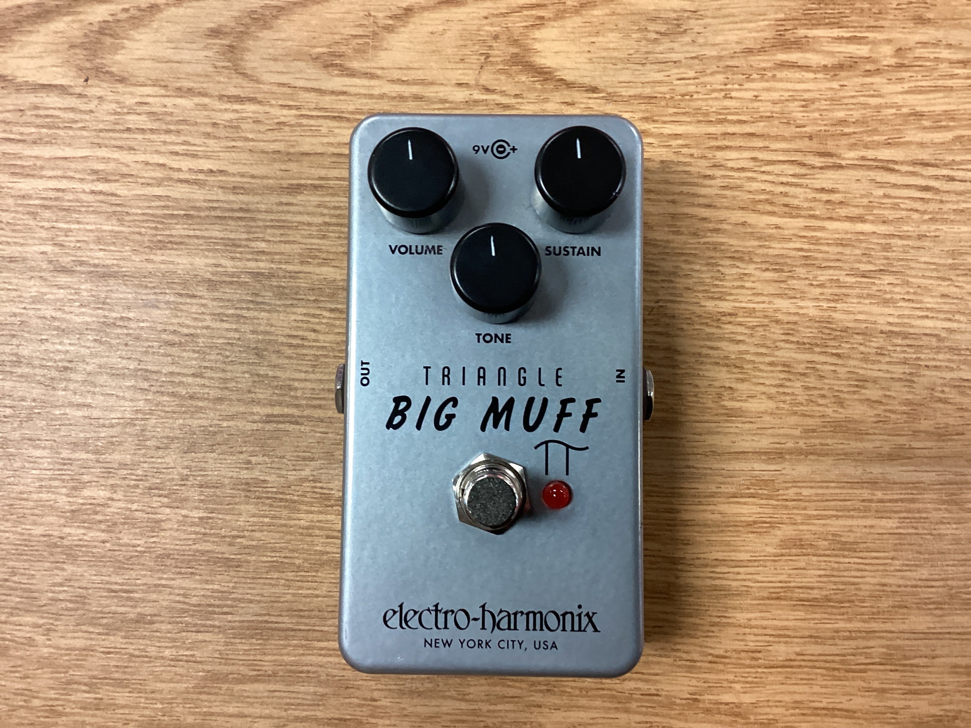 The Pied Piper Music Store