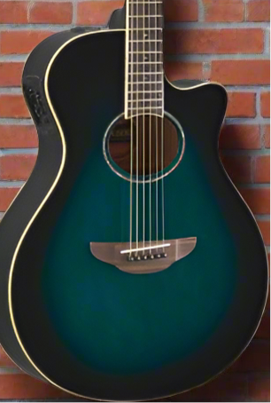 The Pied Piper Music Store