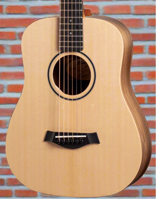 The Pied Piper Music Store