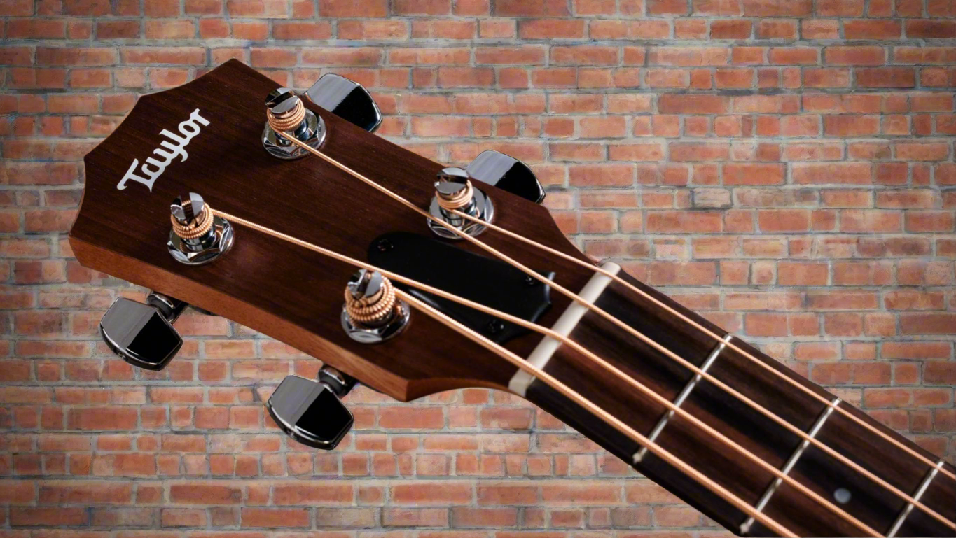 Image of TAYLOR GS Mini-e Bass