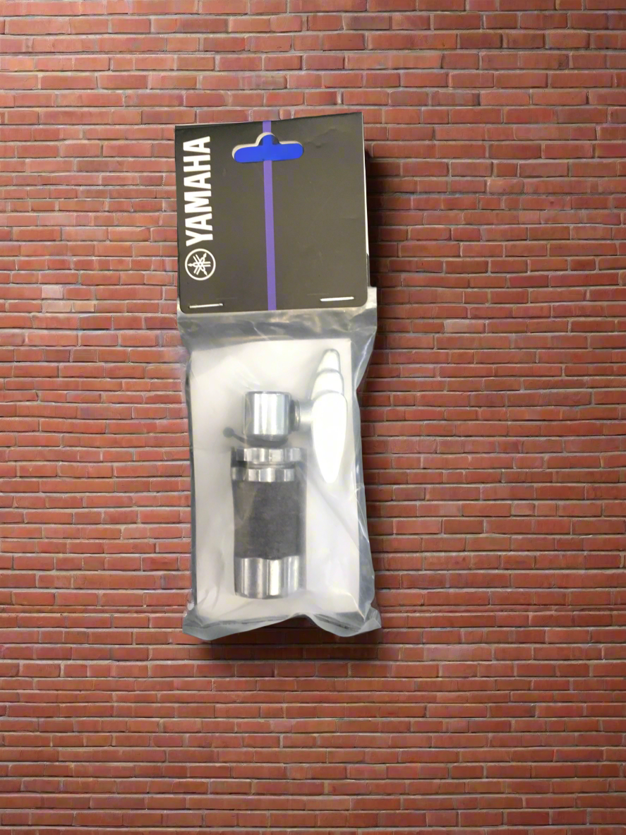 The Pied Piper Music Store