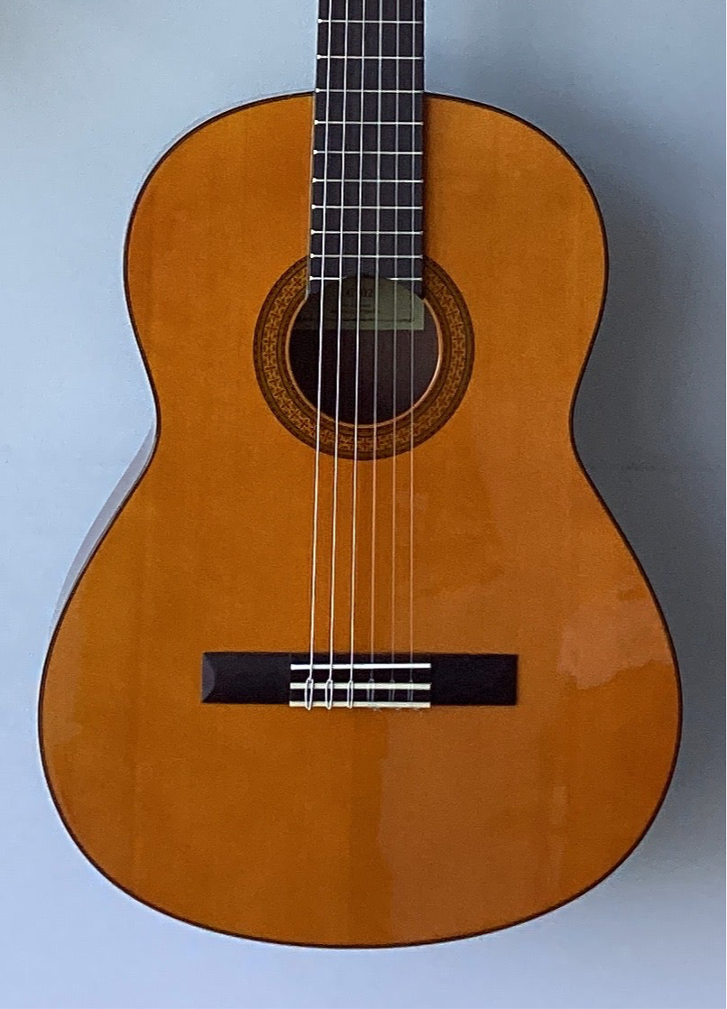 The Pied Piper Music Store