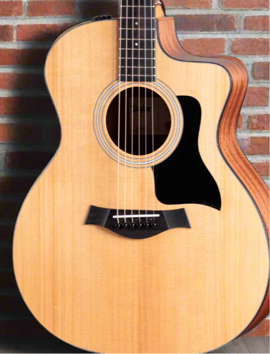 The Pied Piper Music Store