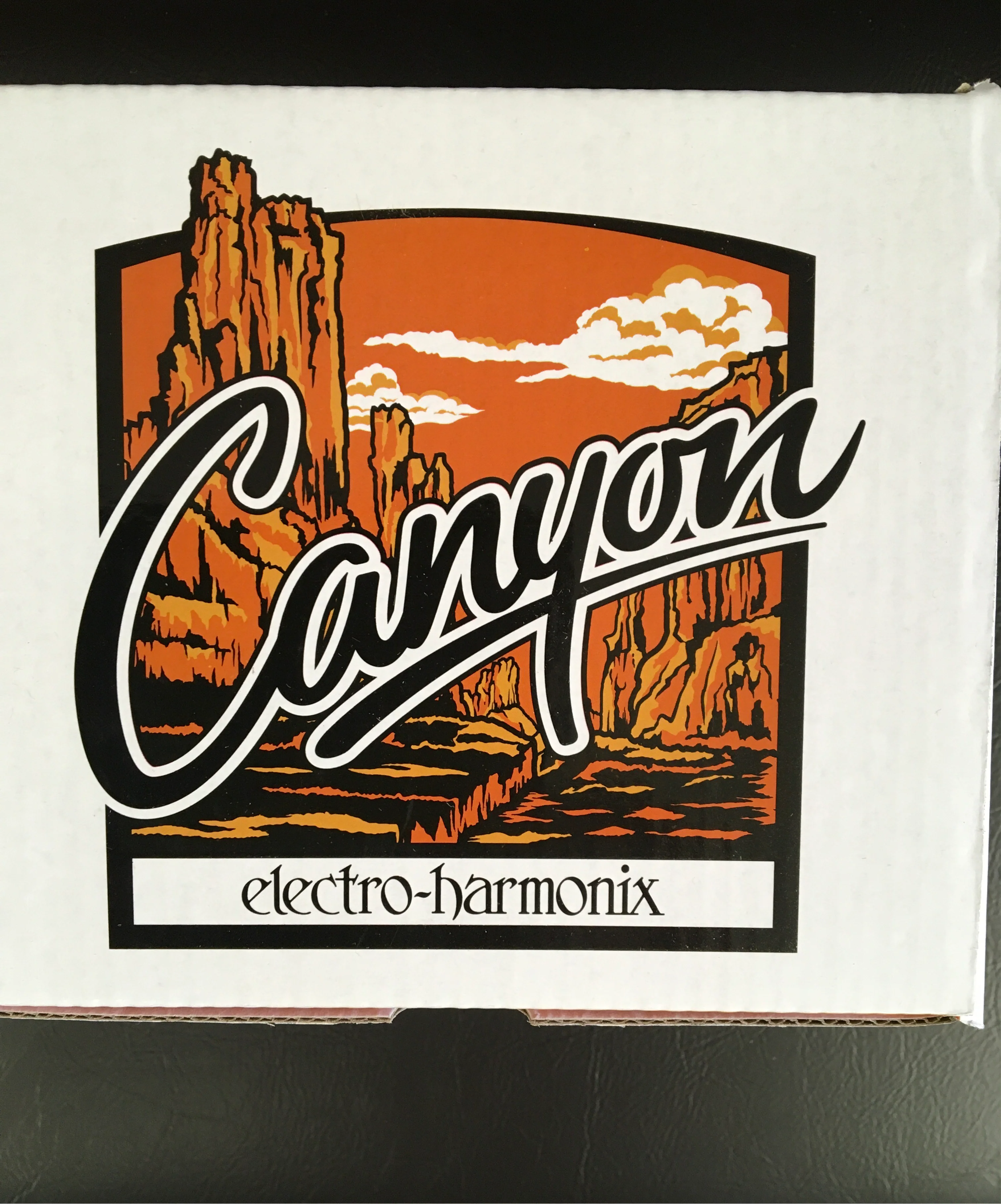 The Pied Piper Music Store