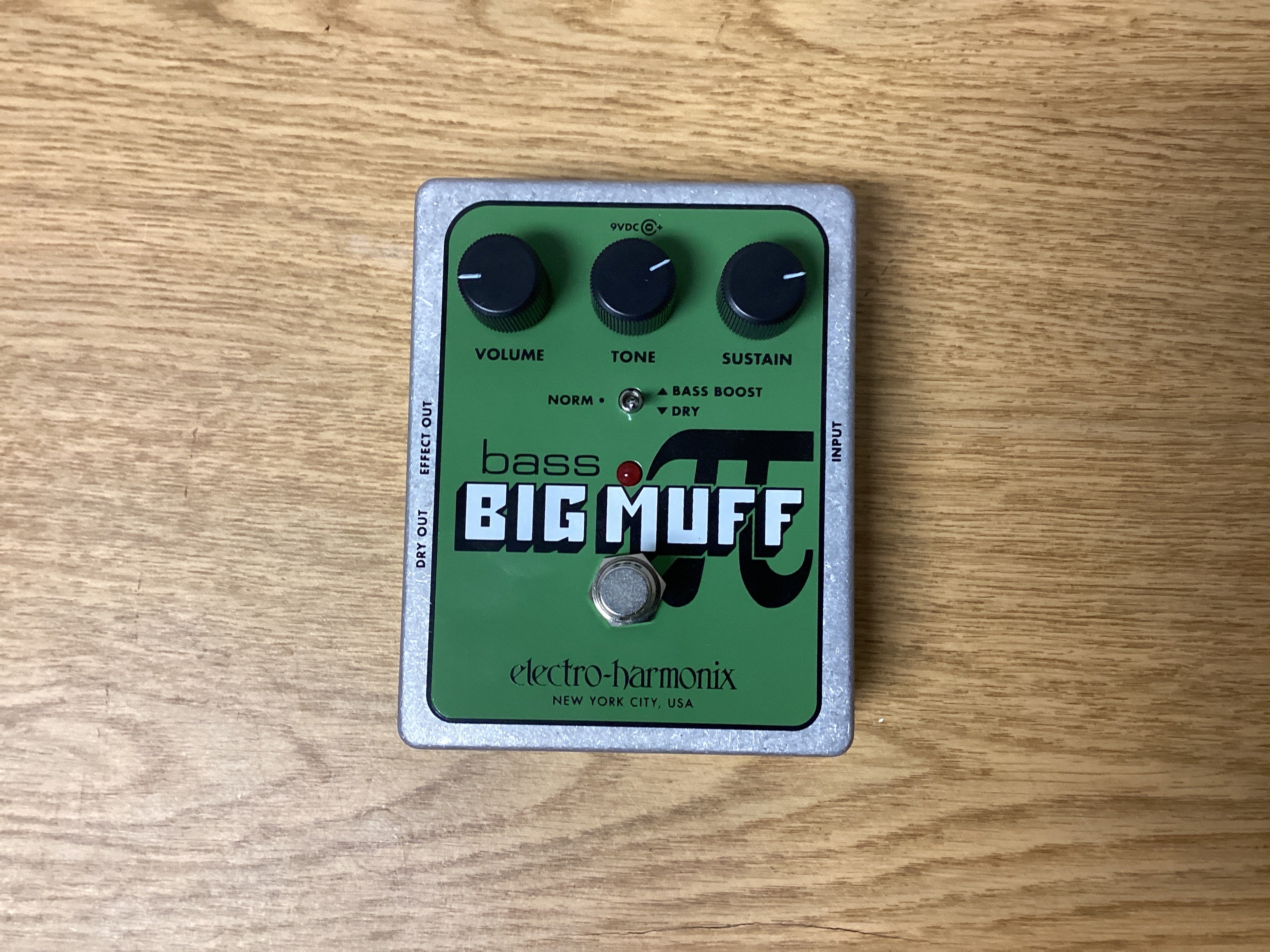 The Pied Piper Music Store