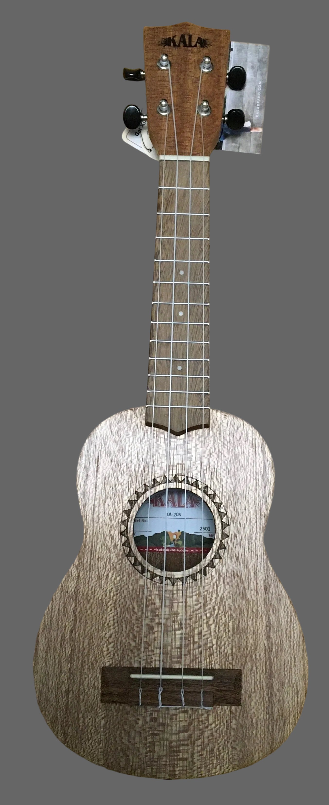 The Pied Piper Music Store