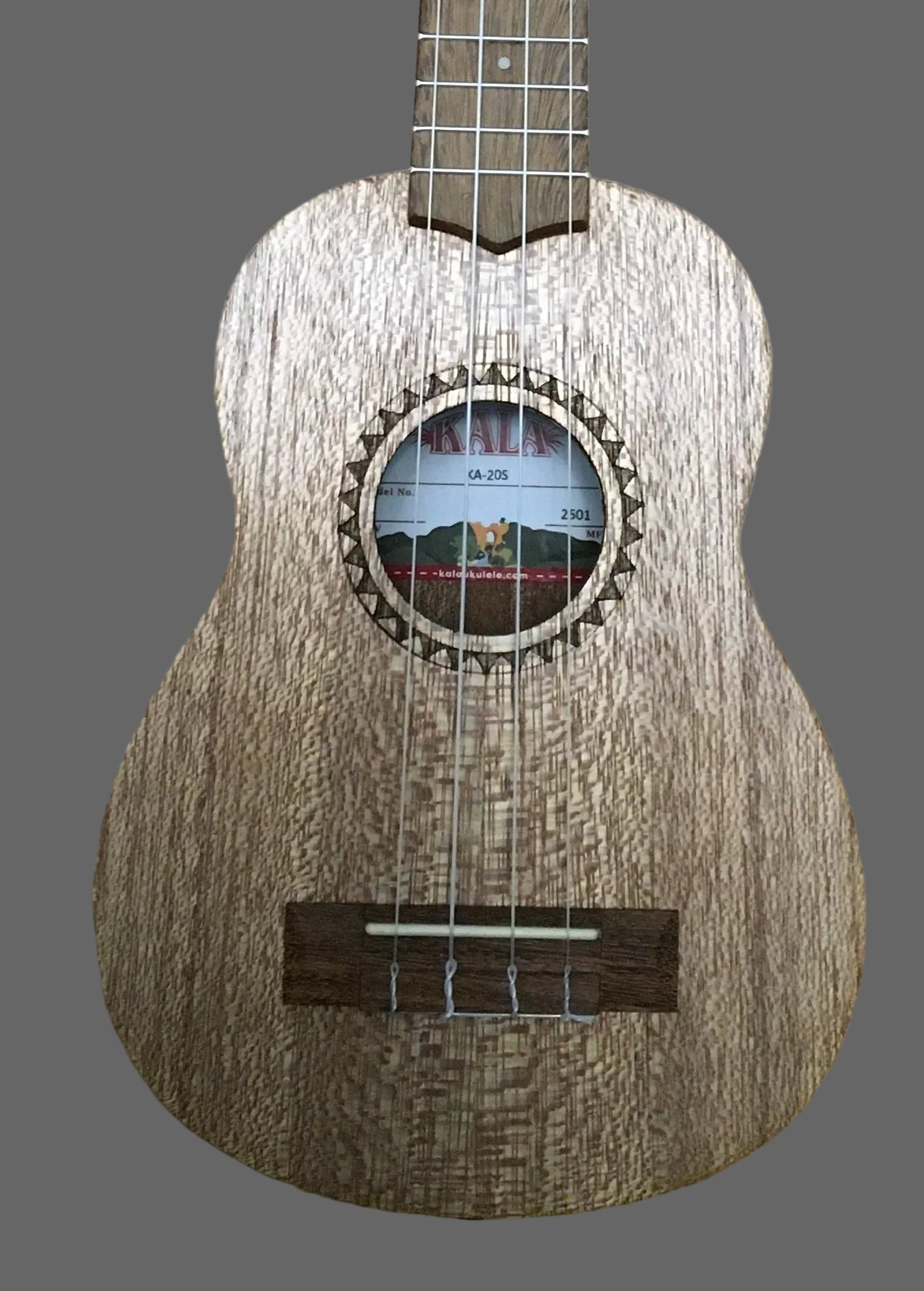 The Pied Piper Music Store