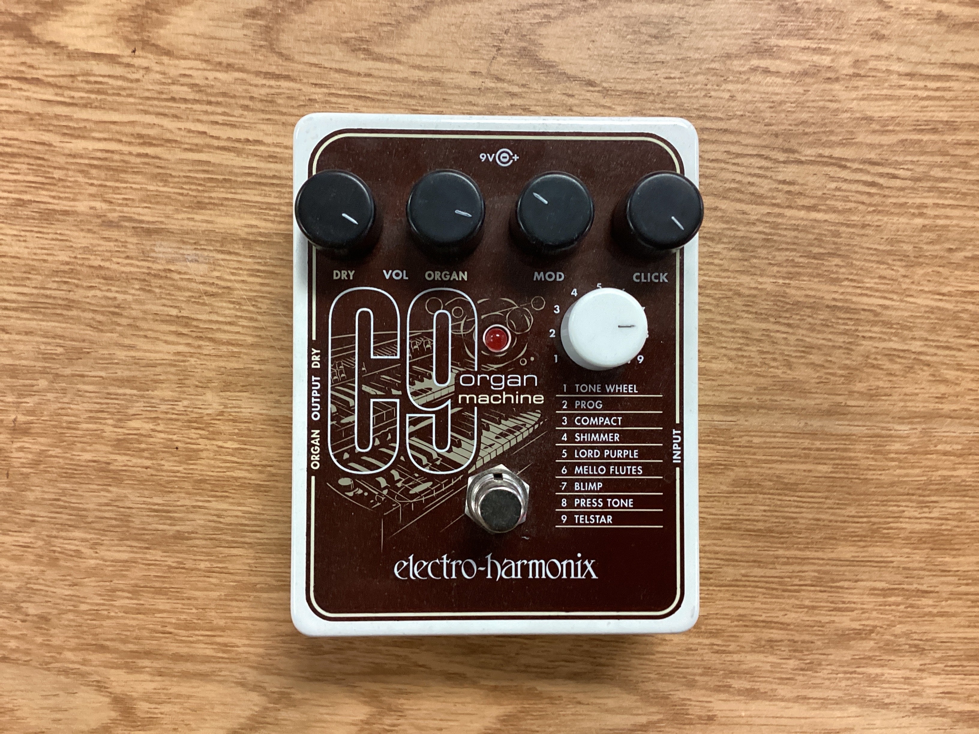 The Pied Piper Music Store