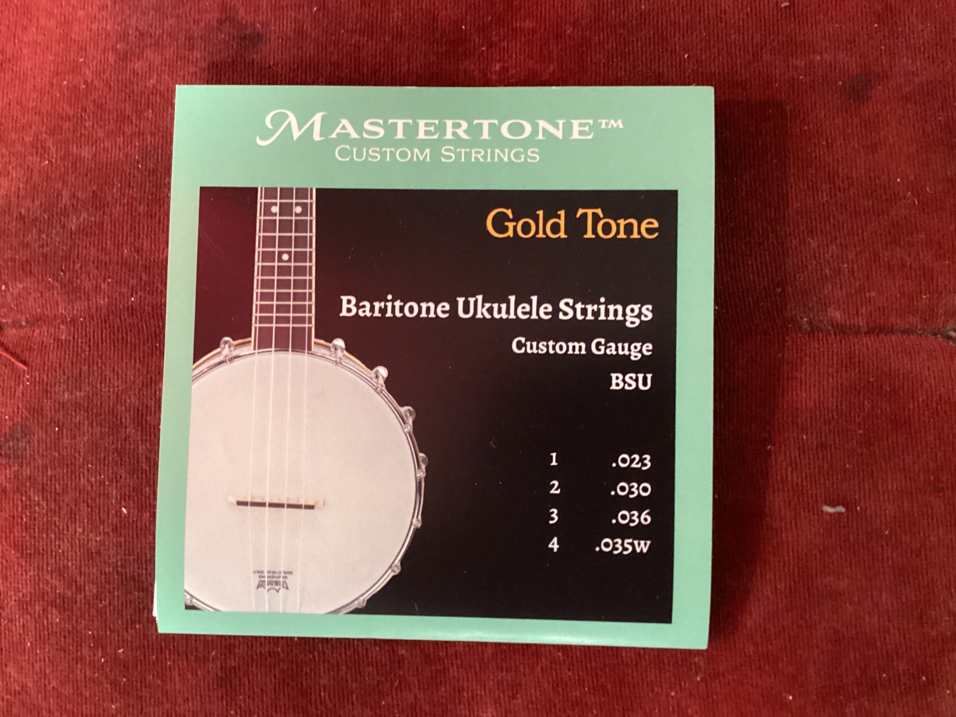 The Pied Piper Music Store