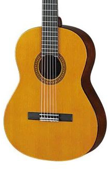 The Pied Piper Music Store