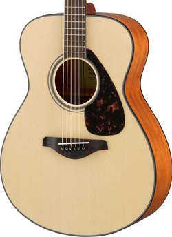 The Pied Piper Music Store