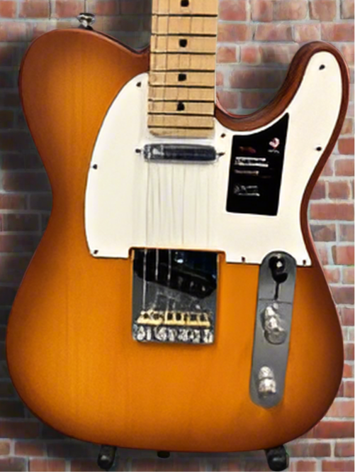 The Pied Piper Music Store