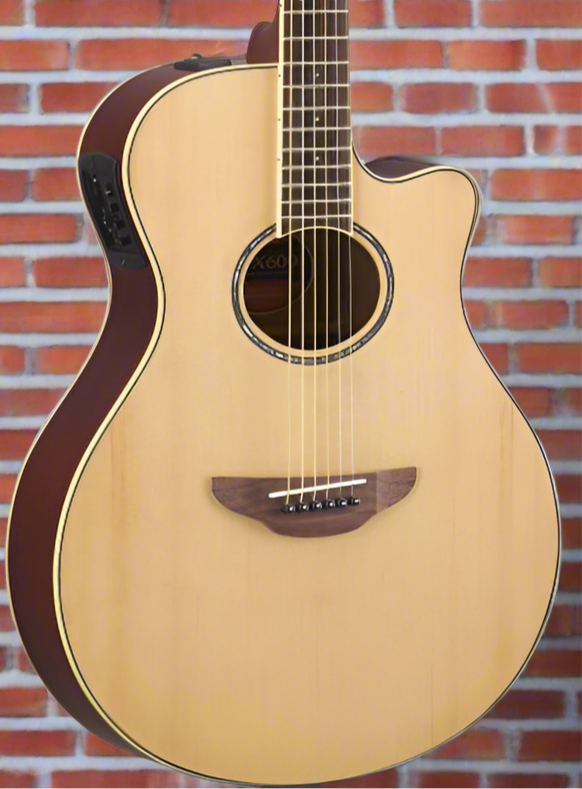 The Pied Piper Music Store