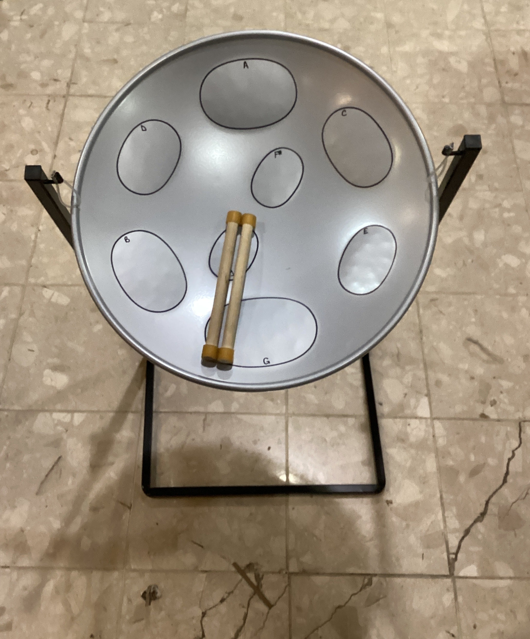 The Pied Piper Music Store