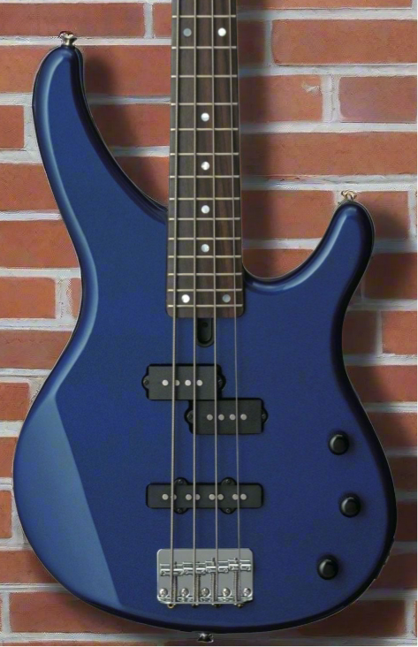 The Pied Piper Music Store