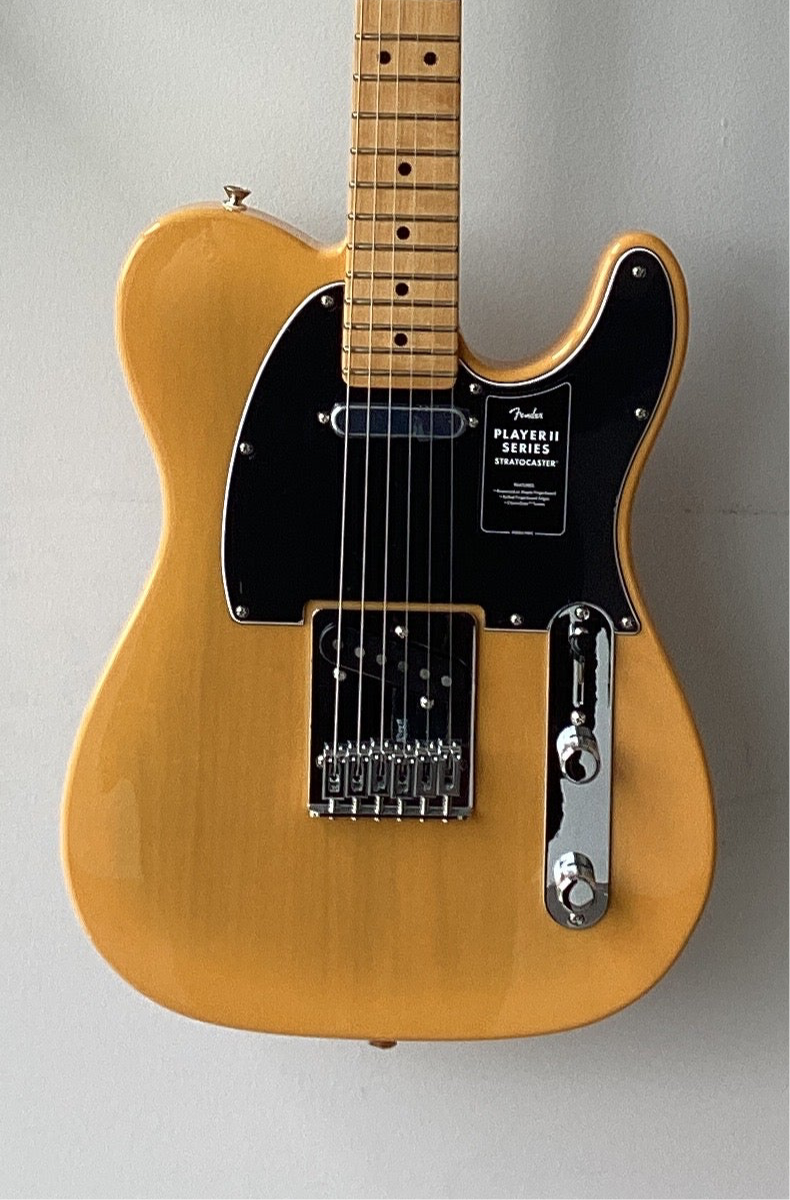 The Pied Piper Music Store