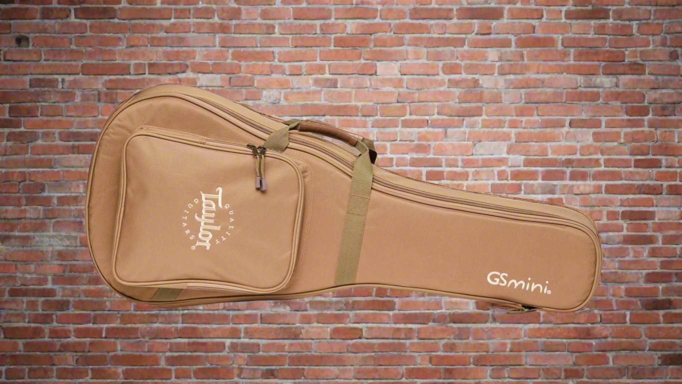 Image of TAYLOR GS Mini-e Koa