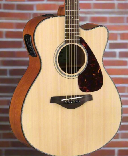 The Pied Piper Music Store