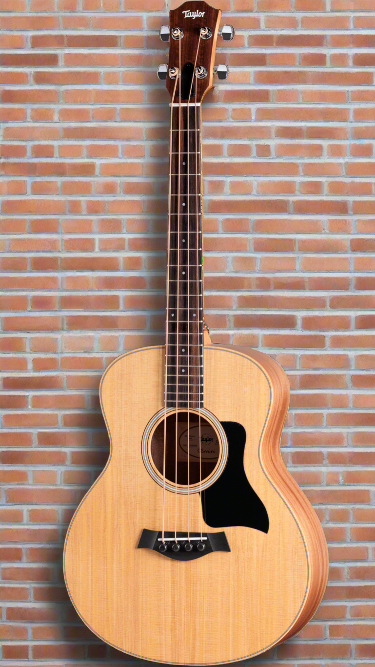 Image of TAYLOR GS Mini-e Bass
