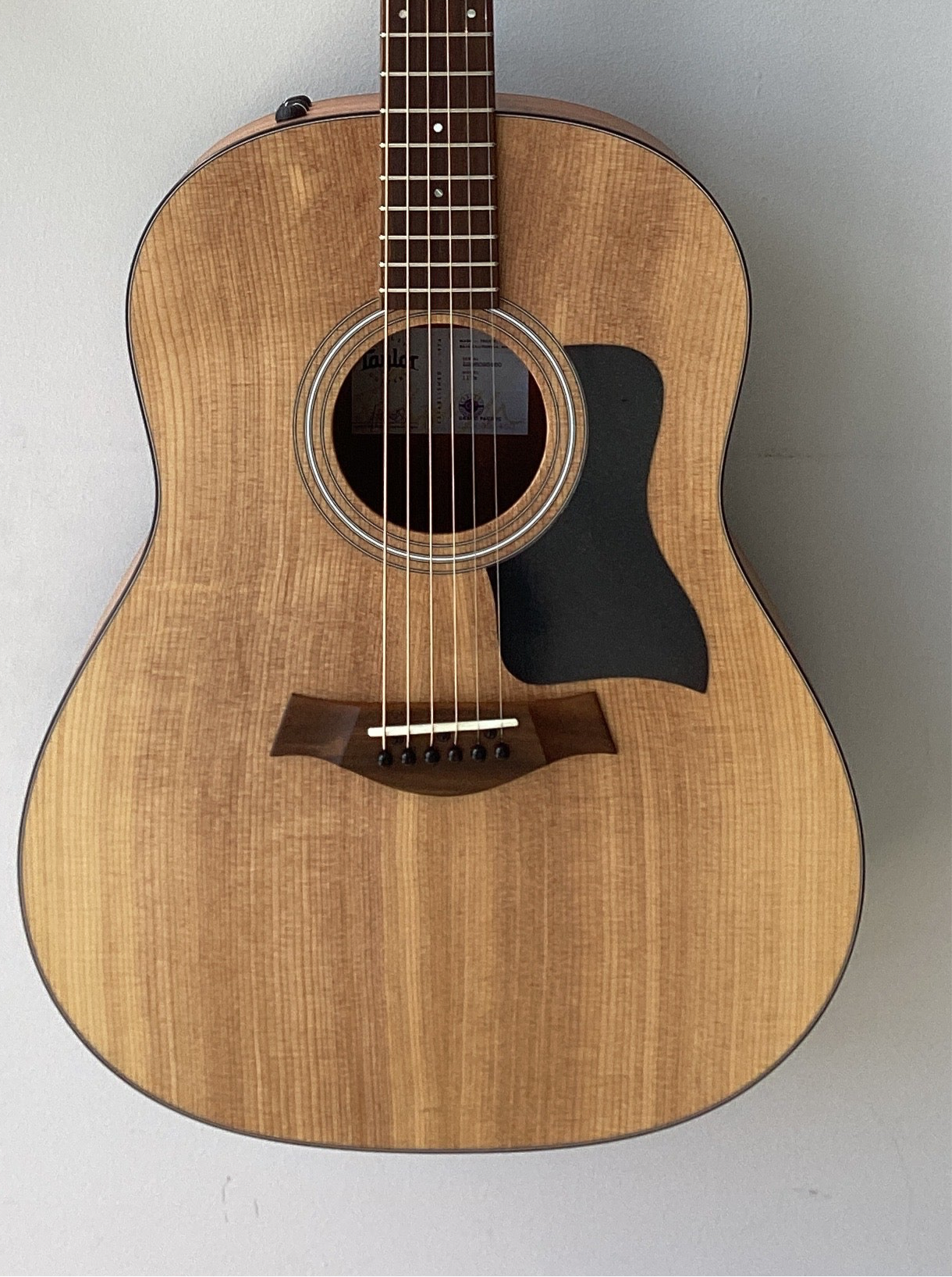 The Pied Piper Music Store