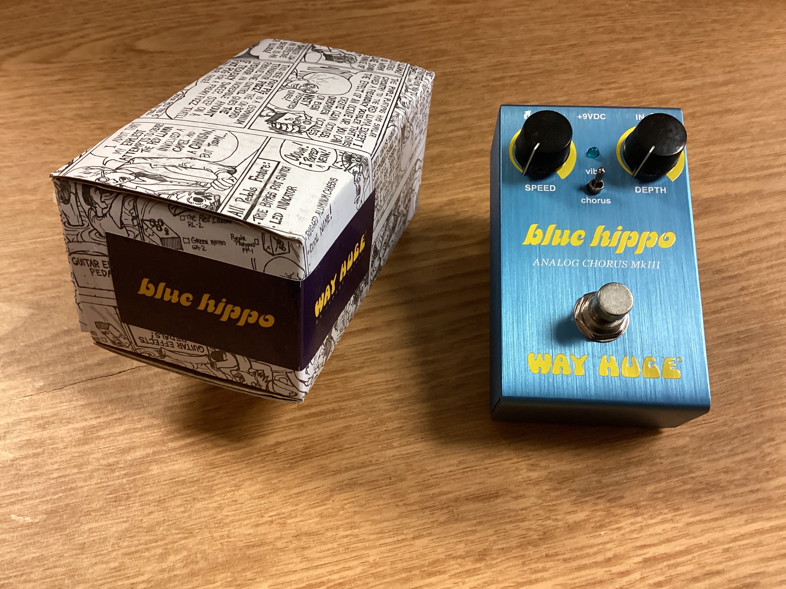 The Pied Piper Music Store