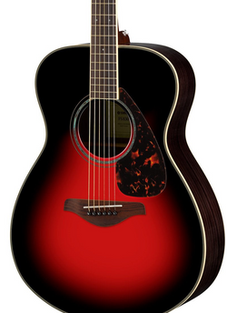 The Pied Piper Music Store