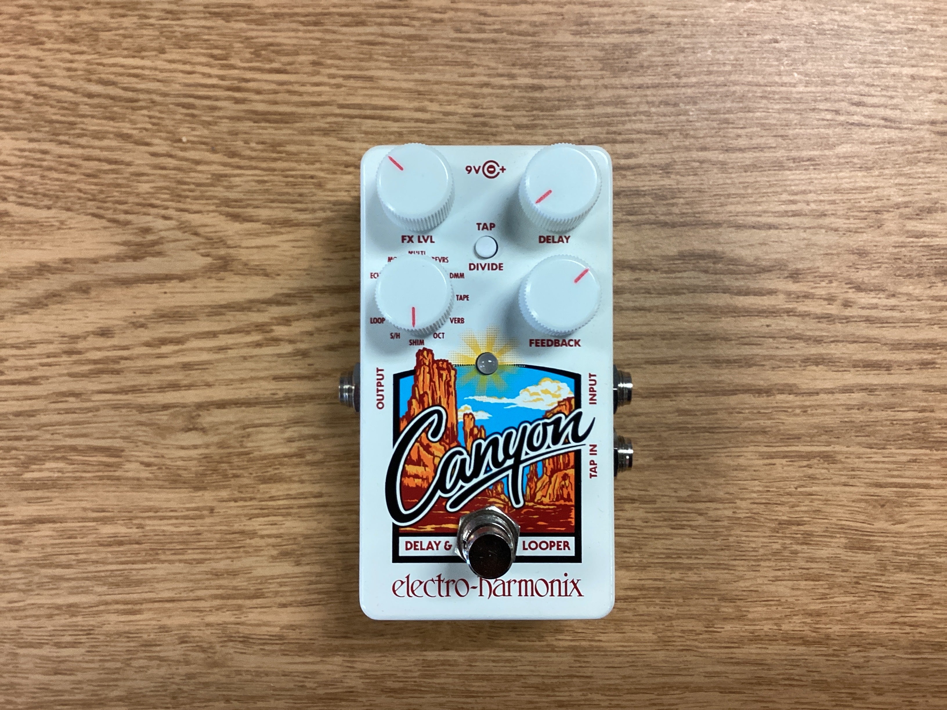 The Pied Piper Music Store