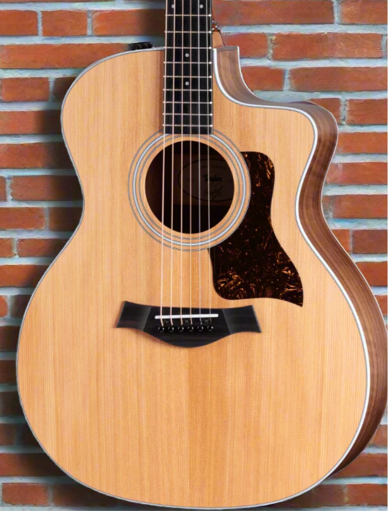 The Pied Piper Music Store