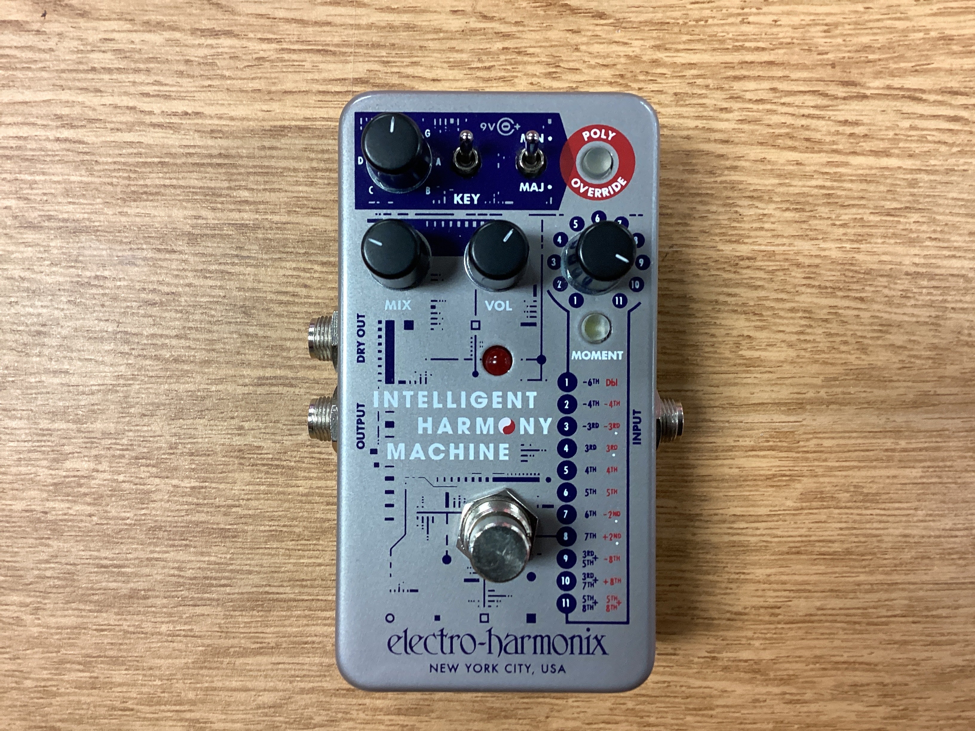 The Pied Piper Music Store