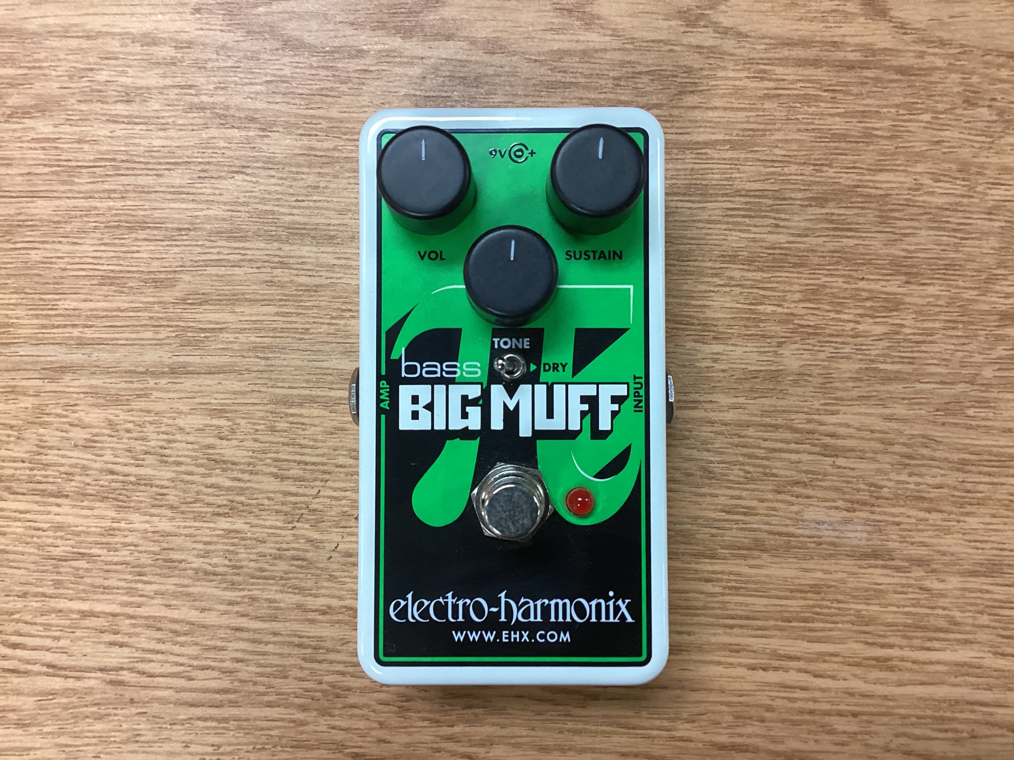 The Pied Piper Music Store