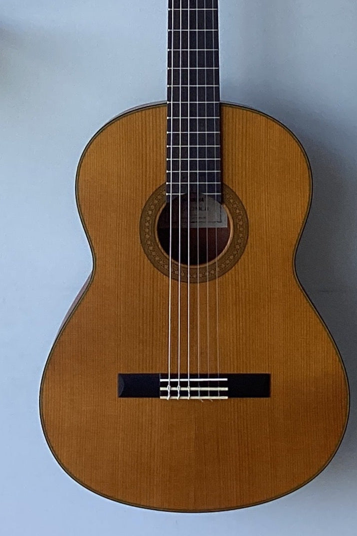 The Pied Piper Music Store