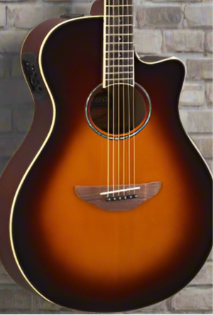 The Pied Piper Music Store